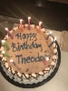 Birthday Party for Theodore