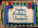 Theodore's Birthday