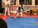  Black Belt Testing - Apr 2017_21