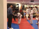 Black Belt Testing - Apr 2018_13