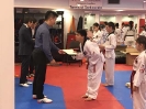 Black Belt Testing - Apr 2018_17