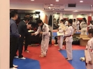 Black Belt Testing - Apr 2018_23