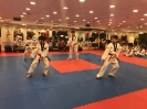 Black Belt Testing - Apr 2018_5