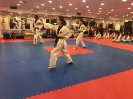 Black Belt Testing - Apr 2018_7