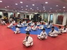 Black Belt Testing - Apr 2018_9