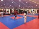 Black Belt Testing - Apr 27, 2019_11