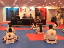 Black Belt Testing - Apr 27, 2019_9