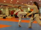 Black Belt Testing - May 2015_1