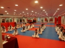 Black Belt Testing - May 2015_25