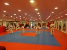 Black Belt Testing - May 2015_26