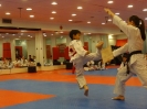 Black Belt Testing - May 2015_27