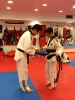 Black Belt Testing - May 2015_29