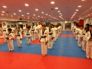 Black Belt Testing - May 2015_30