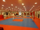 Black Belt Testing - May 2015_34