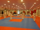 Black Belt Testing - May 2015_35