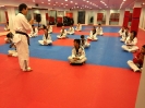 Black Belt Testing - May 2015_40
