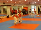 Black Belt Testing - May 2015_43