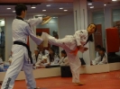 Black Belt Testing - May 2015_46