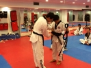 Black Belt Testing - May 2015_50