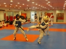 Black Belt Testing - May 2015_54