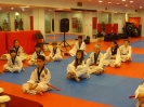 Black Belt Testing - May 2015_55