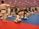 Black Belt Testing - May 2015_97