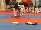 Black Belt Testing - May 2016_24
