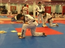 Black Belt Testing - May 2016_31