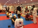 Black Belt Testing - May 2016_36