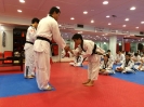 Black Belt Testing - May 2016_46