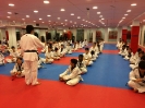 Black Belt Testing - May 2016_47