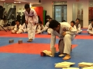 Black Belt Testing - May 2016_8