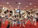 Black Belt Testing - May 2016