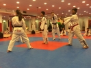 Black Belt Testing - Nov 2015_1