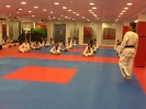 Black Belt Testing - Nov 2015_21