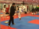 Black Belt Testing - Nov 2015_31