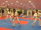 Black Belt Testing - Nov 2015_34