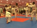 Black Belt Testing - Nov 2015_35