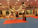 Black Belt Testing - Nov 2015_36