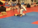 Black Belt Testing - Nov 2015_38