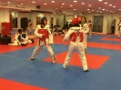 Black Belt Testing - Nov 2015_43