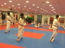 Black Belt Testing - Nov 2015_45