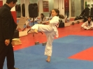 Black Belt Testing - Nov 2015_46