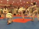 Black Belt Testing - Nov 2015_48