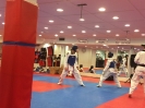 Black Belt Testing - Nov 2015_4
