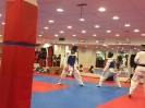 Black Belt Testing - Nov 2015_4