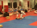 Black Belt Testing - Nov 2015_51