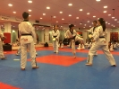 Black Belt Testing - Nov 2015_62