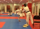 Black Belt Testing - Nov 2015_68
