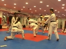 Black Belt Testing - Nov 2015